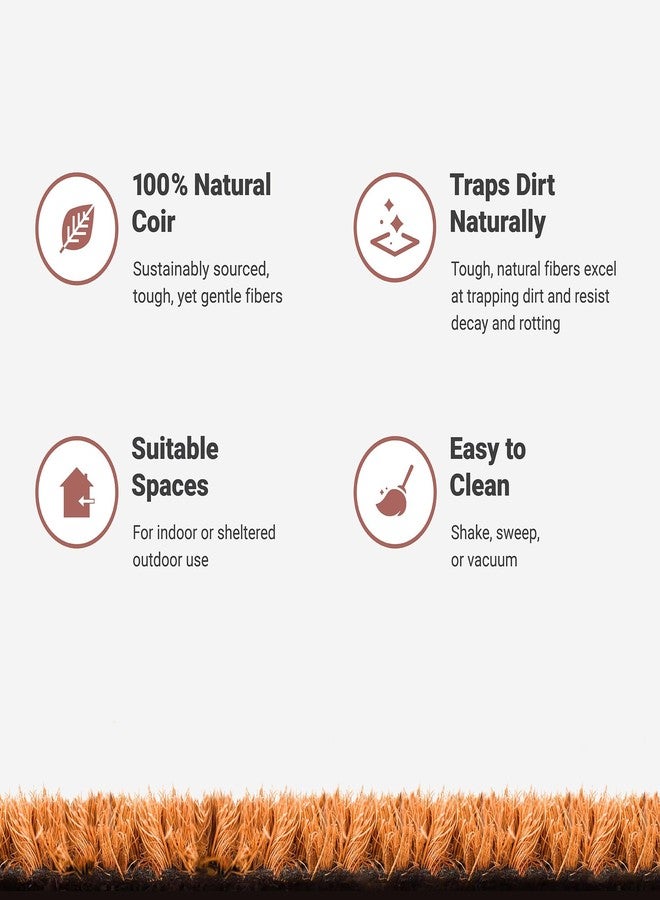 THEODORE MAGNUS سجادة باب مرحة بتصميم ثيودور ماغنوس - سجادة ترحيبية للباب الأمامي بظهر مانع للانزلاق - سجادة باب متينة من ألياف جوز الهند - مثالية كسجادة مدخل خارجية - للاستخدام الداخلي والخارجي - ضمان استرداد الأموال - 17 × 30 بوصة - Image 5